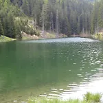 Susi *